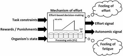 An Integrative Model of Effortful Control